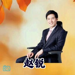 赵锐